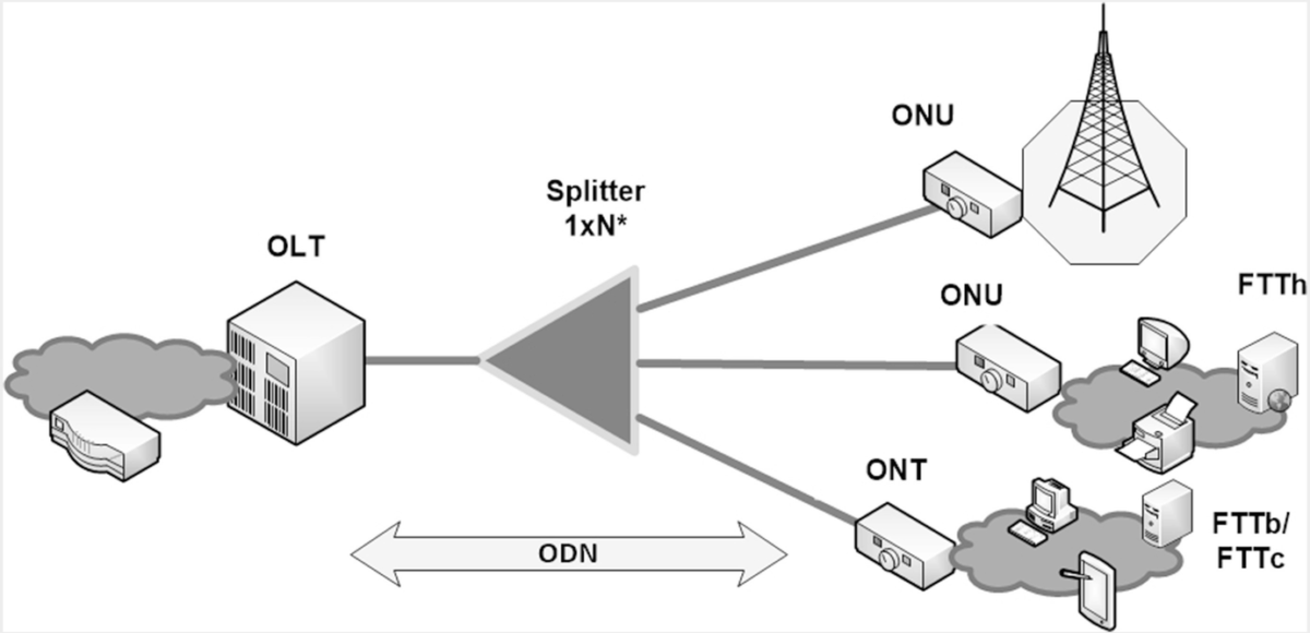 What are relations between OLT, ODN, ONU and ONT? - FOC