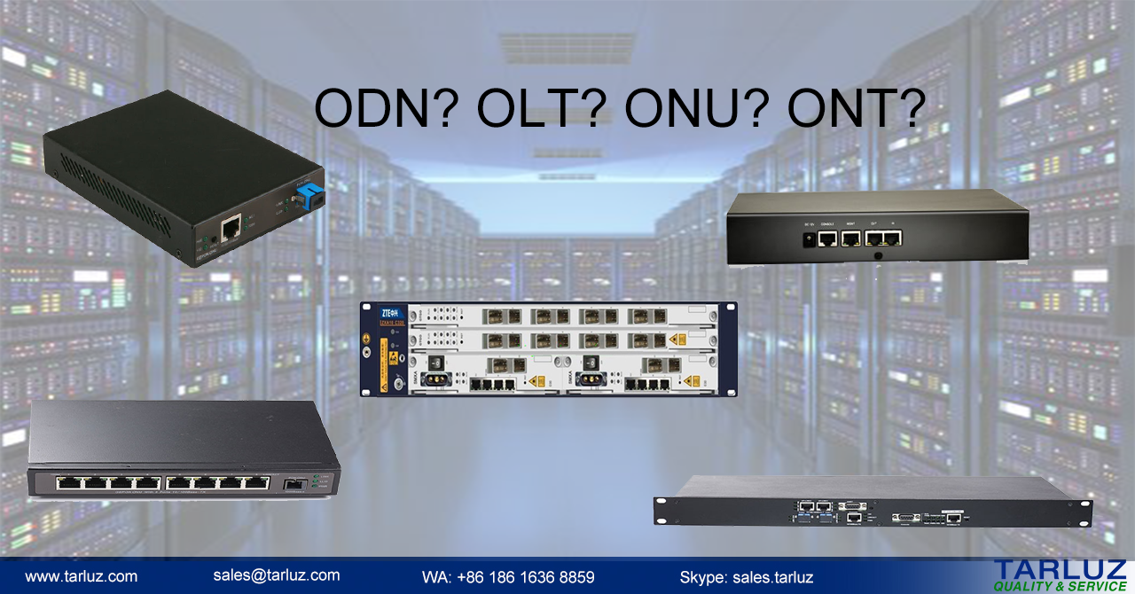 What are relations between OLT, ODN, ONU and ONT? - FOC